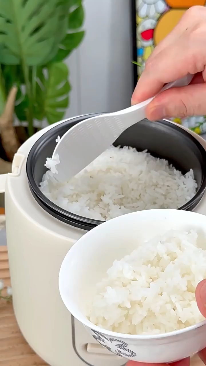 SG [IN STOCK] 1.2l Mini Non-Stick Pan Minimalistic Designs Easy Compact Rice Cooker Removable Liner Diet Friendly Healthy Lifestyle